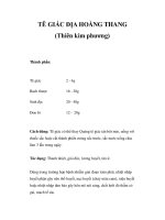 TÊ GIÁC ĐỊA HOÀNG THANG (Thiên kim phương) potx