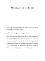 Muôn màu lễ hội hoa Hà Lan doc