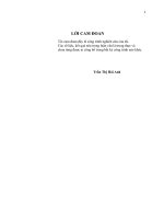 nghiên cứu về sự hài lòng của backpacker tại nha trang