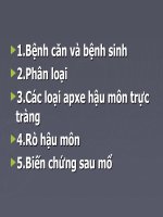 APXE QUANH HẬU MÔN –RÒ HẬU MÔN pptx