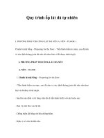 Quy trình ốp lát đá tự nhiên pot