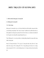 ĐIỀU TRỊ GÃY CỔ XƯƠNG ĐÙI pdf