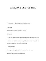 CÁC KHỐI U CỦA TỤY TẠNG ppsx