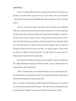 Chính sách của nhà nước trong kiểm soát kinhd oanh tiền nước ngoài ở chợ đen và các ngân hàng ppt