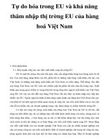Tự do hóa trong EU và khả năng thâm nhập thị trờng EU của hàng hoá Việt Nam _9 ppt