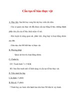 Giáo án Sinh học lớp 6 : Tên bài dạy : Cấu tạo tế bào thực vật ppt