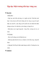 Giáo án Tiếng Việt lớp 3 : Tên bài dạy : Tập đọc Một trường tiểu học vùng cao. ppsx