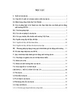 đánh gia tác động môi trường dự án công trình phức hợp siêu thị thương mại văn phòng, căn hộ cao cấpssg
