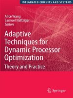 Adaptive Techniques for Dynamic Processor Optimization_Theory and Practice Episode 1 Part 1 docx