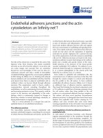 Báo cáo sinh học: 