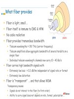 WDM LAN Optical Backbone Networks phần 2 potx