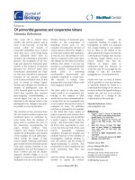 Báo cáo sinh học: 