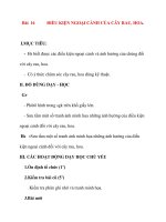 Giáo án lớp 7 môn Công Nghệ: Bài 16 ĐIỀU KIỆN NGOẠI CẢNH CỦA CÂY RAU, HOA. ppsx