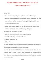 Giáo án lớp 7 môn Hình Học: TRƯỜNG HỢP BẰNG NHAU THỨ NHẤT CỦA TAM GIÁC CẠNH-CẠNH-CẠNH (C.C.C) pot