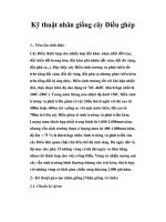 Kỹ thuật nhân giống cây pptx
