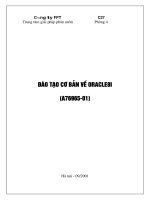 Đào tạo cơ bản về Oracle8i (A76965-01) - Phần 1 docx