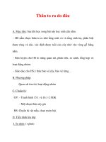 Giáo án Sinh học lớp 6 : Tên bài dạy : Thân to ra do đâu doc