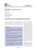 Báo cáo sinh học: 