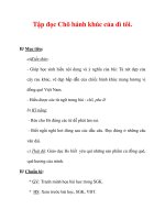 Giáo án Tiếng Việt lớp 3 : Tên bài dạy : Tập đọc Chõ bánh khúc của dì tôi. pps