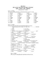 ĐỀ LUYỆN THI THỬ ĐẠI HỌC NĂM 2011 MÔN : TIẾNG ANH – ĐỀ SỐ 26 pdf