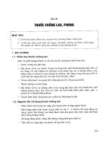 Phòng chống lao, phong bằng thuốc pps