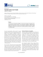 Báo cáo sinh học: 