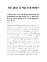 Đất phèn và việc bón cải tạo doc