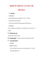 Giáo án ĐỊa lý lớp 7 : Tên bài dạy : KINH TẾ TRUNG VÀ NAM MĨ (tiếp theo) doc