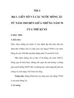 GIÁO ÁN LỊCH SỬ 9_Tiết 2 pot