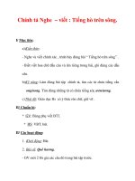 Giáo án Tiếng Việt lớp 3 : Tên bài dạy : Chính tả Nghe – viết : Tiếng hò trên sông. potx