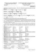 ĐỀ THI KIỂM TRA HỌC KỲ I NĂM HỌC 2010 - 2011 MÔN : TIẾNG ANH KHỐI 12 - Mã đề thi 356 pps