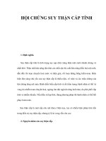 HỘI CHỨNG SUY THẬN CẤP TÍNH docx