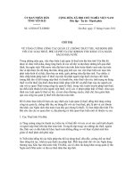 Chỉ thị số 12/2011/CT-UBND pot