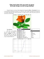 Giáo trình phân tích quy trình sử dụng kỹ thuật merge curves trong drafting p1 pot