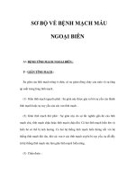 SƠ BỘ VỀ BỆNH MẠCH MÁU NGOẠI BIÊN docx