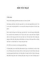 SỎI TÚI MẬT docx