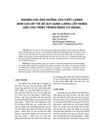 Báo cáo khoa học: 