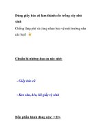 Dùng giấy báo cũ làm thành cốc trồng cây nhỏ xinh doc