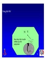 Bài giảng điều trị HIV : SINH BỆNH HỌC VÀ DIỄN BIẾN TỰ NHIÊN CỦA NHIỄM HIV part 4 doc