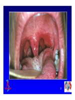 Bài giảng điều trị HIV : SINH BỆNH HỌC VÀ DIỄN BIẾN TỰ NHIÊN CỦA NHIỄM HIV part 7 ppsx