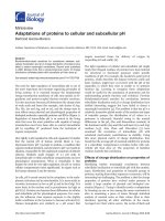 Báo cáo sinh học: 