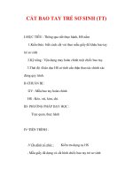 Giáo án Công nghệ lớp 6 : Tên bài dạy : CẮT BAO TAY TRẺ SƠ SINH (TT) doc