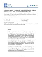 Báo cáo sinh học: 