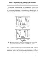 wdm optical interfaces for future fiber radio systems phần 6 potx