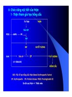 Bài giảng sinh hóa - Thận và nước tiểu part 3 ppsx