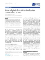 Báo cáo sinh học: 