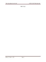 giải pháp nhằm nâng cao hiệu quả hoạt động của KHU CÔNG NGHIEPJ, KHU CHẾ XUẤT ở nước ta