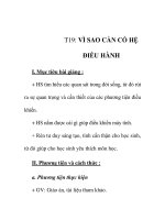 Giáo án tin học 6_ tiết 19 potx