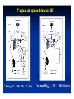 Bài giảng sinh hóa - Hóa sinh gan mật part 4 potx