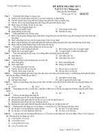 ĐỀ KIỂM TRA HỌC KỲ I VẬT LÝ 12 ( Nâng cao) Mã đề 172 pot